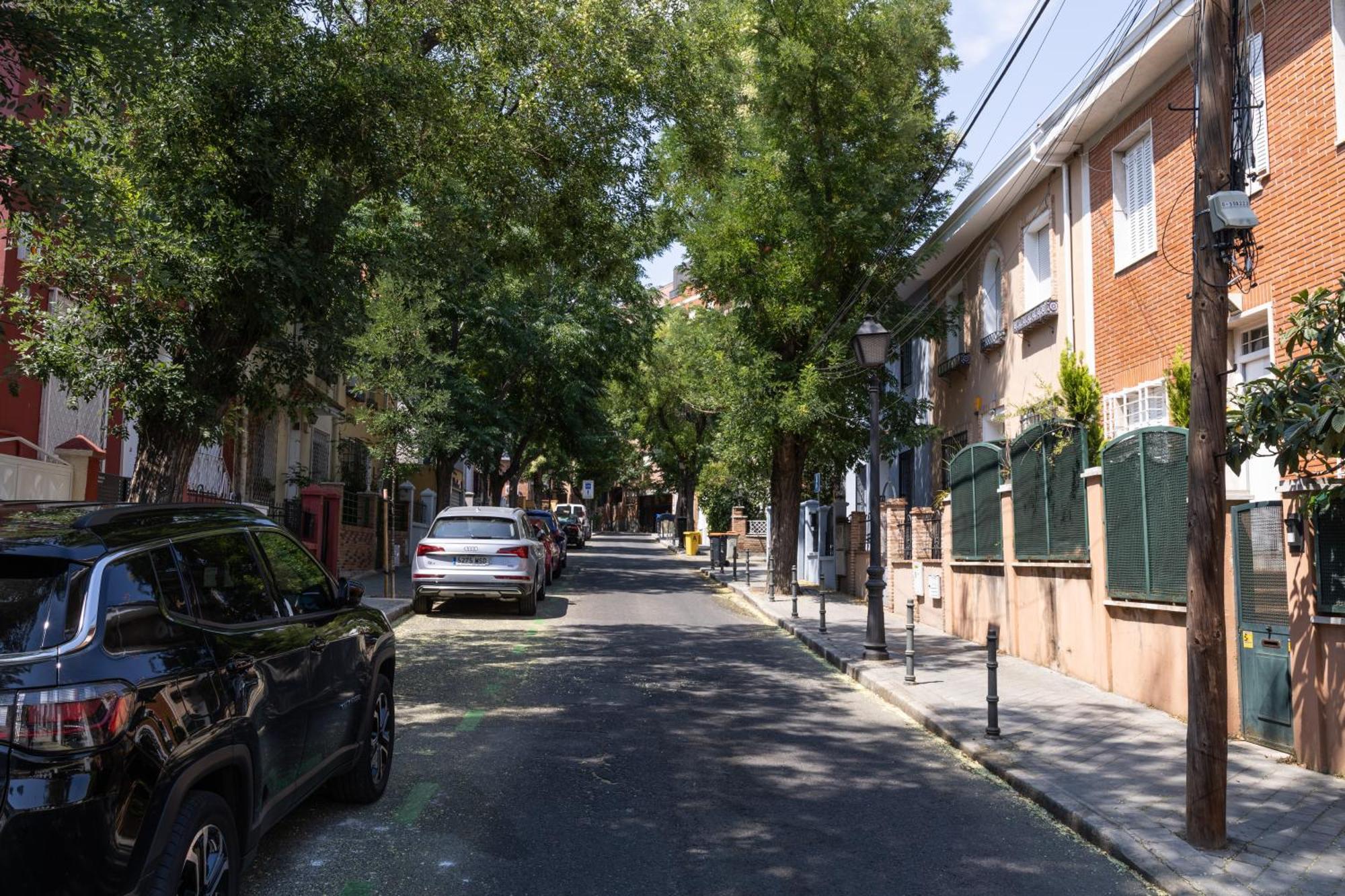 Cozy In The Heart Of Pensión Madrid